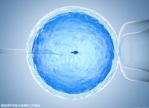 关于国内借卵借卵代孕网